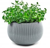 На фото Кашпо Keter 36 см Cozies M серое (7290106927841)