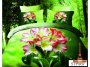 На фото Комплект постельного белья Love you Гламур 230х245 см 4шт Евро Зеленый