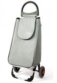 На фото Сумка-тележка Aurora Portofino 50 Grey (926886)
