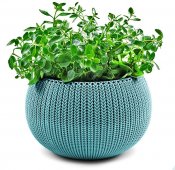 На фото Кашпо Keter 36 см Cozies M бирюза (7290106928411)