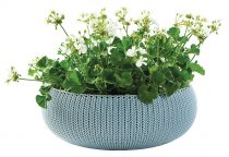 На фото Кашпо Keter 54 см Cozies L бирюза (7290106929678)