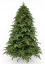 На фото Ель TriumphTree 230 см Alberta (387638)