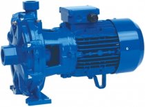 На фото Двухступенчатый центробежный насос Speroni 2C 32/190A (трехфазный)
