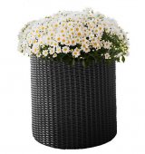 На фото Кашпо для цветов Keter Cylinder Planter Small серое (7290103668204)
