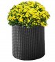 Кашпо для цветов Keter Cylinder Planter Medium серое (7290103668211) На фото Кашпо для цветов Keter Cylinder Planter Medium серое (7290103668211)