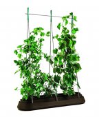 На фото Грядка для растений Keter G-Row коричневая (7290106927667)