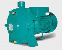 На фото Поверхностный насос Euroaqua (2CPM)