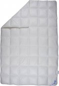 На фото Одеяло Billerbeck Актигард облегченное 155х215 см Белое (0206-12/05)