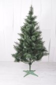 Сосна Фабрика Елок 200 см зеленая Крымская На фото Сосна Фабрика Елок 200 см зеленая Крымская