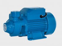 На фото Поверхностный насос Euroaqua (PKM60)