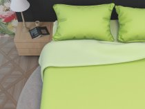 На фото Постельное белье Leleka-Textile Ранфорс 200х220 Салатовое Евро