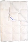 Одеяло Billerbeck Магнолия К2 Пух/перо 200х220 см Белое (0590-02/03) На фото Одеяло Billerbeck Магнолия К2 Пух/перо 200х220 см Белое (0590-02/03)