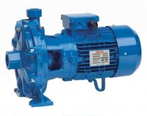 На фото Двухступенчатый центробежный насос Speroni 2C 25/160C (трехфазный)