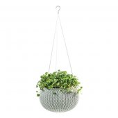 На фото Кашпо Keter 28 см Cozies S с цепочкой серое (7290106929241)