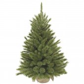 На фото Сосна TriumphTree 90 см Forest frosted (386253)