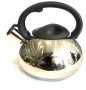 Чайник со свистком Benson 3 л (BN-716) На фото Чайник со свистком Benson 3 л (BN-716)