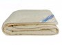 На фото Одеяло Leleka-Textile Деми Хлопок 172х205 см