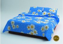 На фото Постельное белье Leleka-Textile Полиэстер 200х220 Синие Евро